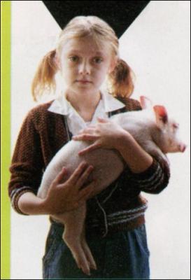 image3.jpg