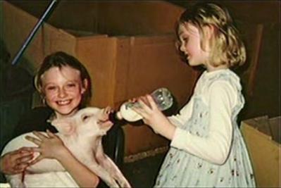 image8.jpg