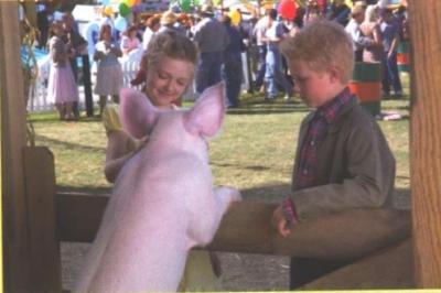 image14.jpg