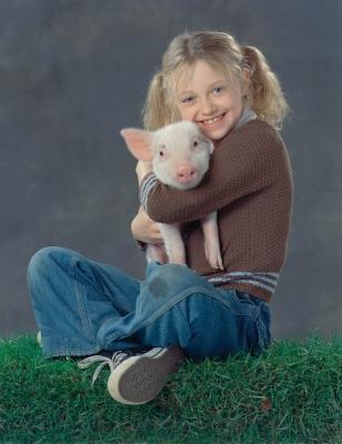 image6.jpg