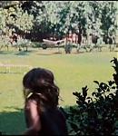 002_28129.jpg