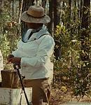 030_28929.jpg