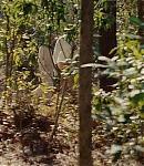 041_28629.jpg