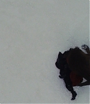 038_28729.jpg