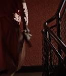 dakotafanningdaily-sweetnessinthebelly-00700.jpg