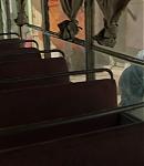 dakotafanningdaily-sweetnessinthebelly-02830.jpg