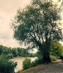 017_28729.jpg